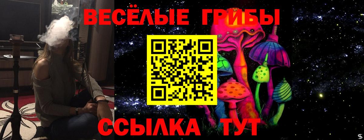 Псилоцибиновые грибы Magic Shrooms Химки