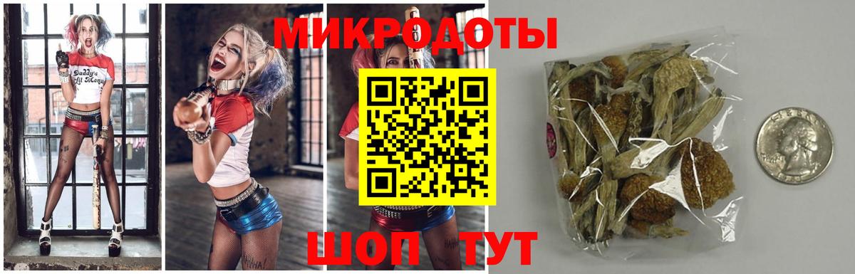 Псилоцибиновые грибы Psilocybe  Псилоцибиновые грибы MAGIC MUSHROOMS  Вход с VPN  Химки 